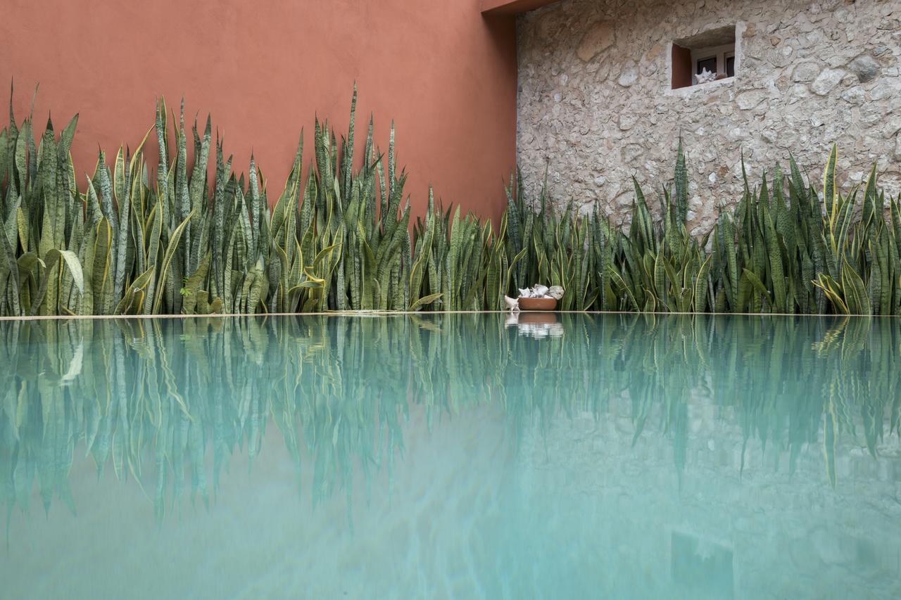 Casa De Camposampiero Hotel Boutique Merida Exterior photo